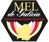 Miel de Galicia