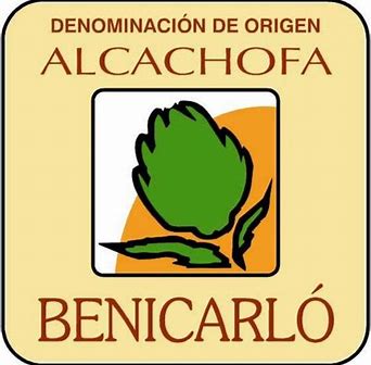 Alcachofa de Benicarló