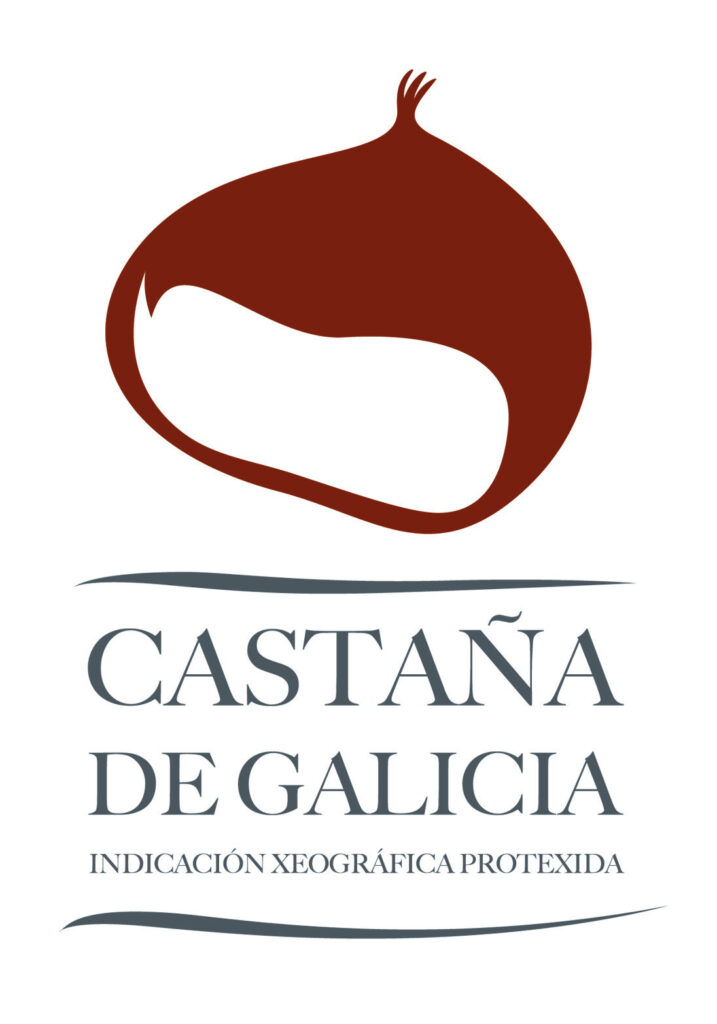 Castaña de Galicia